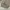 Karl Helmut Vintage Y2K Shirt Wanita white tan photo 5