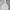 H&M Cosplay Casual Windbreaker Pria White