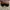 Ray Ban Biker Casual Sunglass Pria black photo 2