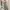 Callie Cotton Minimalist Casual Shirt dress Wanita gray photo 1