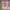 Y2K Grunge T-shirt Wanita pink photo 2