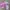 Sportswear Kids Pink