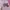 Sportswear Kids pink photo 4