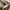 Oakley Y2K Gorpcore Formal pants Pria khaki photo 6