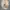 Oakley Y2K Gorpcore Formal pants Pria khaki photo 1