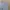 Minimalist Short Kids gray photo 4