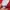 Casual Jersey Pria red photo 3