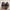 Adidas Indie Casual Sneakers Pria burgundy brown photo 4