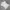Y2K T-shirt Pria white photo 3