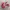 Adidas Indie Casual Sneakers Pria white red photo 1