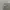 Nike Streetwear Casual Sweater Pria gray photo 2