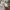 Nike Streetwear Casual Sweater Pria gray photo 4