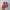 On Running Sportswear Sneakers Wanita pink photo 6