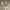 Luxury Avant Garde Heels Wanita white photo 1