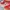 New Balance Sportswear Sneakers Wanita multicolor photo 2