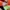 New Balance Sportswear Sneakers Wanita multicolor photo 8