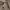 MCM Casual Hobo bag Wanita brown photo 8