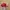Vintage Streetwear Hat Pria red photo 3