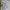 Hysteric Glamour Streetwear Luxury Polo shirt Pria gray photo 6