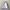 Puma Sportswear Windbreaker Pria white photo 2