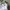 Puma Sportswear Windbreaker Pria white photo 5