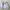 Puma Sportswear Windbreaker Pria white photo 3