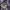 Blackyak Gorpcore Track jacket Pria purple gray photo 4
