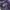 Blackyak Gorpcore Track jacket Pria purple gray photo 5