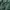 Beverly Hills Polo Club Casual Bomber jacket Pria green photo 6