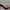 Louis Vuitton Luxury Shoulder bag Wanita brown cream photo 5