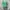 Minimalist Reworked Wanita multicolor green photo 1