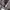 Prada Casual Tote bag Wanita gray photo 6