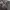 Burberry Casual Tote bag Wanita black gray photo 4