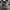 Burberry Casual Tote bag Wanita black gray photo 5