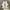 Nike Casual Sneakers Pria white photo 4