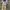 Y2K Formal pants Pria tan orange photo 2
