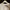 Mark Gonzales Indie Casual Sweatshirt Pria cream photo 3