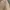 Sportswear Indie Casual pants Pria tan photo 5
