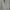Vintage Casual Shirt dress Wanita tan khaki photo 3