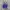 Adidas Casual Sneakers Wanita purple photo 3