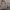 Louis Vuitton Casual Tote bag Wanita tan cream photo 1