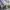 Chanel Streetwear Casual Skinny jeans Wanita multicolor photo 6