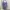 Vintage Going out dress Wanita purple photo 2