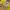 Japanese brand Y2K Cosplay T-shirt Pria yellow photo 4