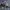 MLB Sportswear T-shirt Pria gray photo 2