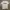 Nike Y2K Sportswear T-shirt Pria gray photo 1