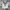 Y2K Polo shirt Pria white black photo 1