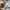 Nike Y2K Casual Track jacket Pria white photo 4