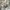 Nike Y2K Casual Track jacket Pria white photo 5