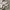 Nike Y2K Casual Track jacket Pria white photo 3